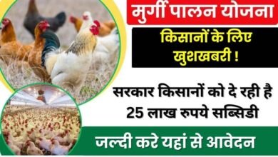 Poultry Farming Loan Apply